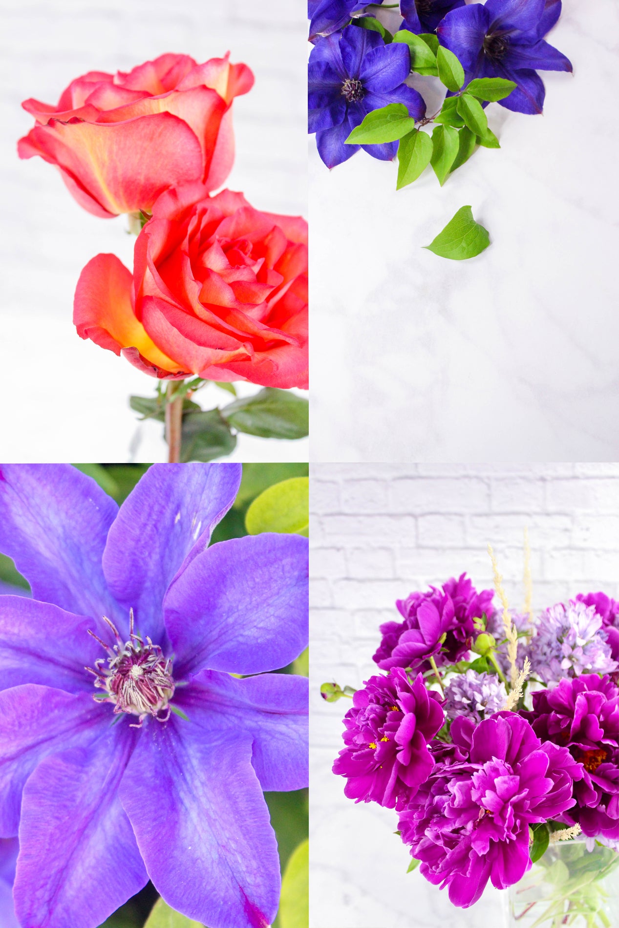 650+ Styled Blogging Photo Library