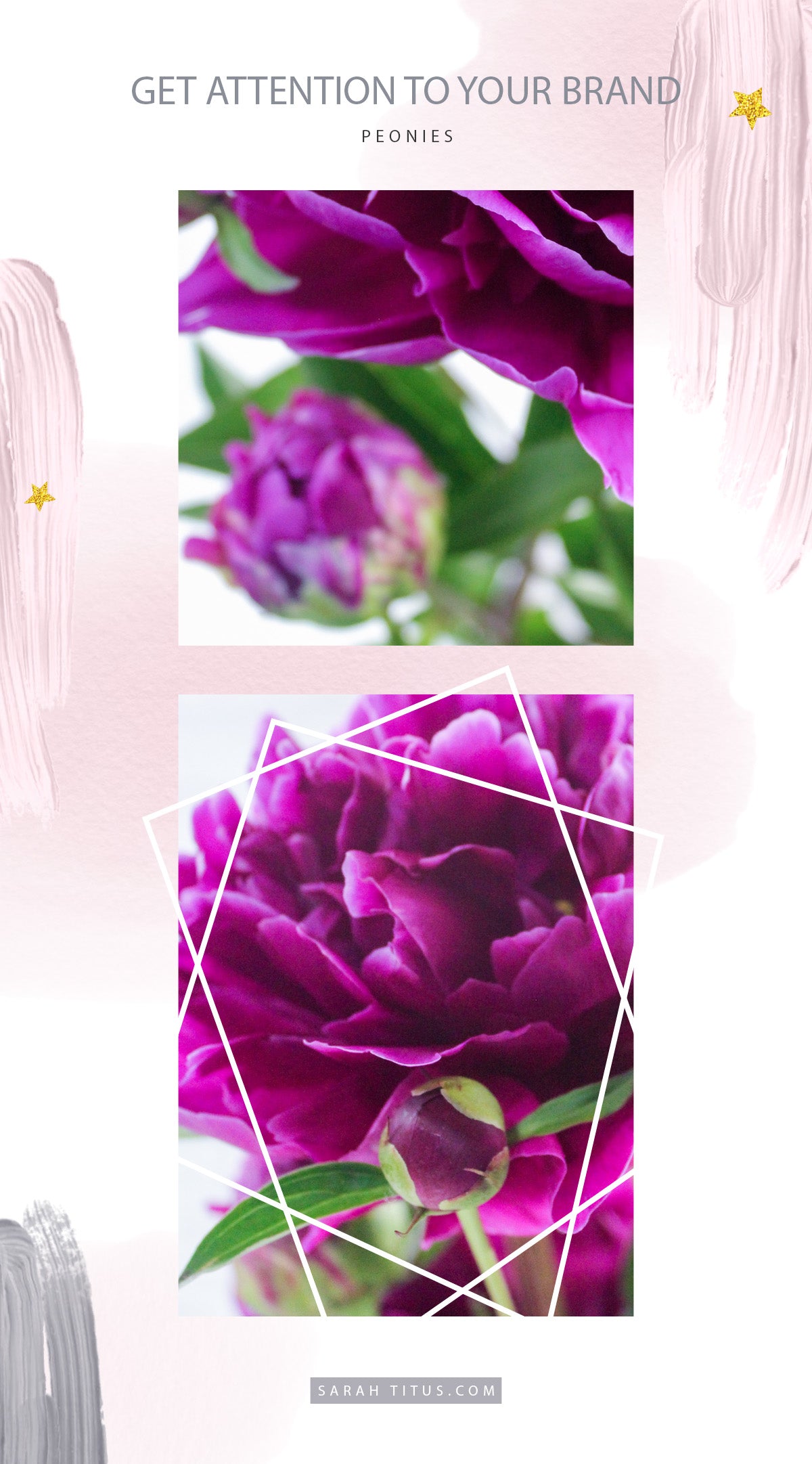 650+ Styled Blogging Photo Library