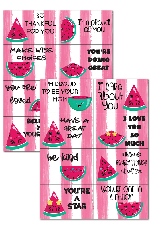 Watermelon Lunch Box Notes