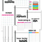 Home Buying Binder {35+ Pages}
