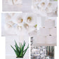 35+ Home Styled Stock Photos