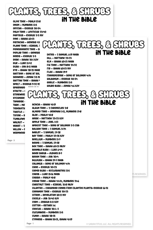 Plants, Trees, and Shrubs in the Bible List