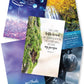 Traditional Church Bulletins - Color {100+ Pages}