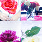 650+ Styled Blogging Photo Library