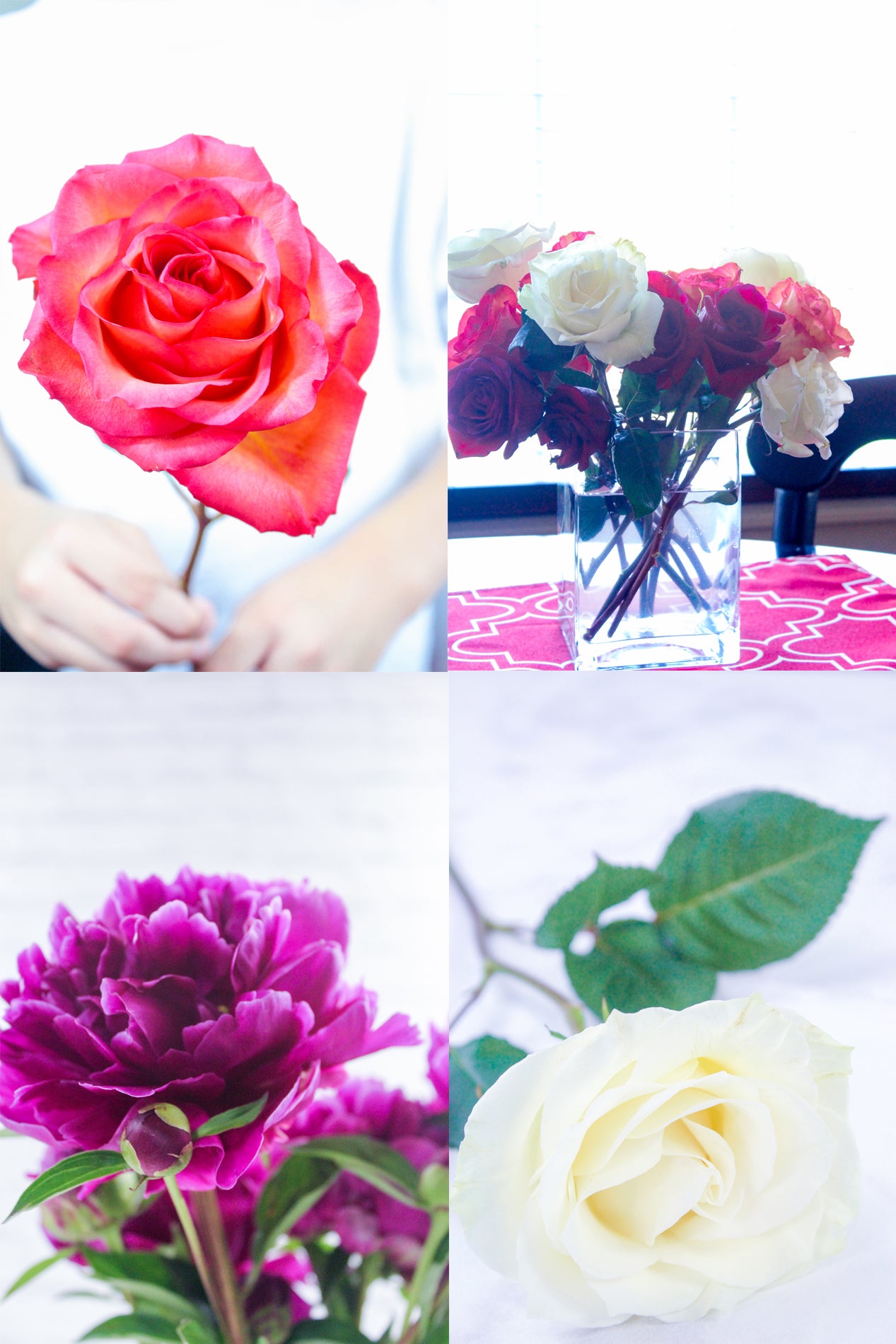 650+ Styled Blogging Photo Library