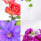 650+ Styled Blogging Photo Library