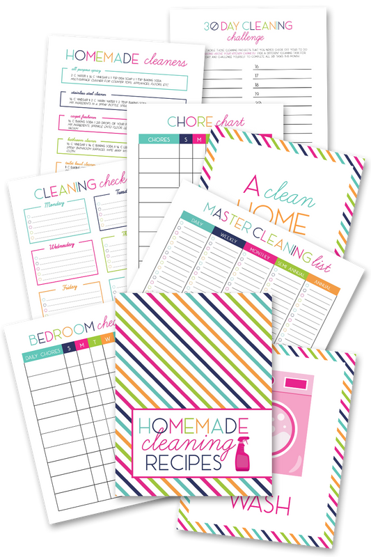 Homemade Cleaning Recipes Binder